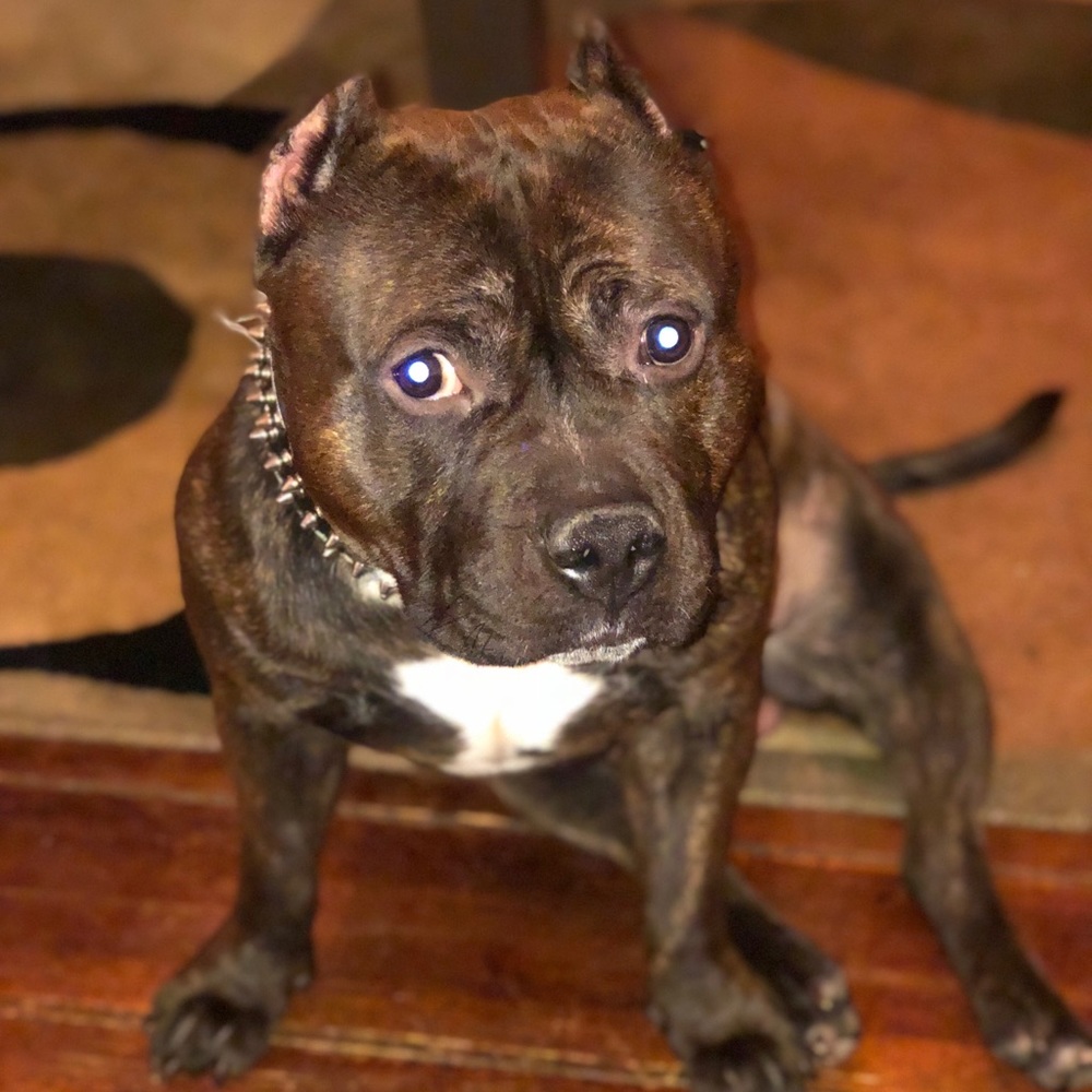 Meet your Posher, Sherwayne